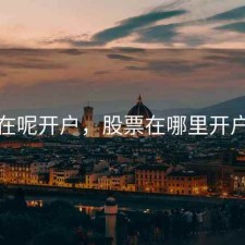 股票在呢开户，股票在哪里开户最好