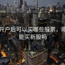 新手开户后可以买哪些股票，刚开户能买新股吗