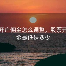 股票开户佣金怎么调整，股票开户佣金最低是多少