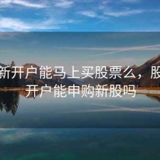 股票新开户能马上买股票么，股票新开户能申购新股吗