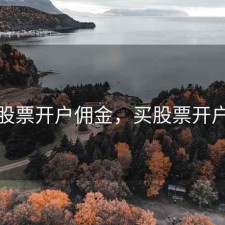靖江股票开户佣金，买股票开户佣金