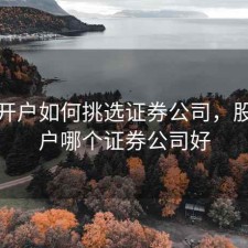 股票开户如何挑选证券公司，股票开户哪个证券公司好