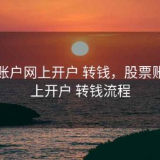 股票账户网上开户 转钱，股票账户网上开户 转钱流程
