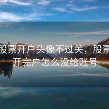 手机股票开户头像不过关，股票手机开完户怎么没给账号