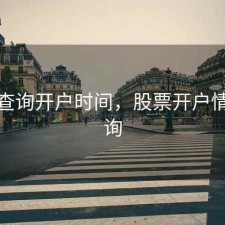 股票查询开户时间，股票开户情况查询