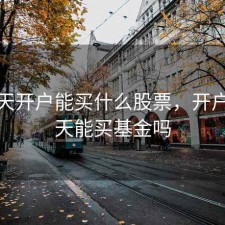 第一天开户能买什么股票，开户第一天能买基金吗