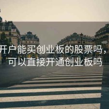 网上开户能买创业板的股票吗，网上可以直接开通创业板吗