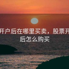 股票开户后在哪里买卖，股票开户以后怎么购买