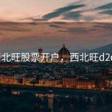西北旺股票开户，西北旺d2d3