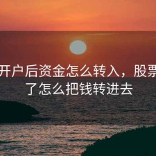 股票开户后资金怎么转入，股票开户了怎么把钱转进去