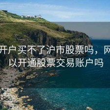 网上开户买不了沪市股票吗，网上可以开通股票交易账户吗