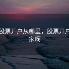 咨询股票开户从哪里，股票开户找哪家啊