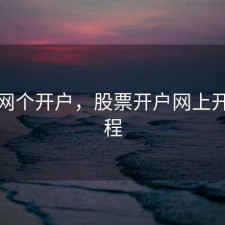 股票网个开户，股票开户网上开户流程