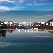 现在还有借壳上市吗，最有可能借壳的上市公司