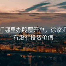 徐家汇哪里办股票开户，徐家汇股票有没有投资价值