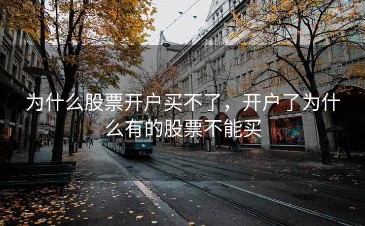 为什么股票开户买不了，开户了为什么有的股票不能买  第2张