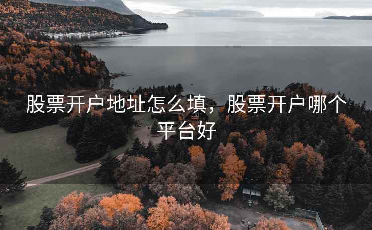 股票开户地址怎么填，股票开户哪个平台好  第2张