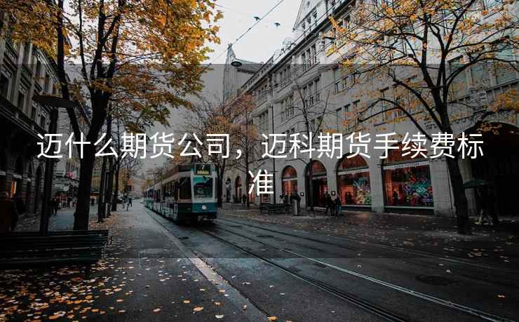迈什么期货公司，迈科期货手续费标准  第2张