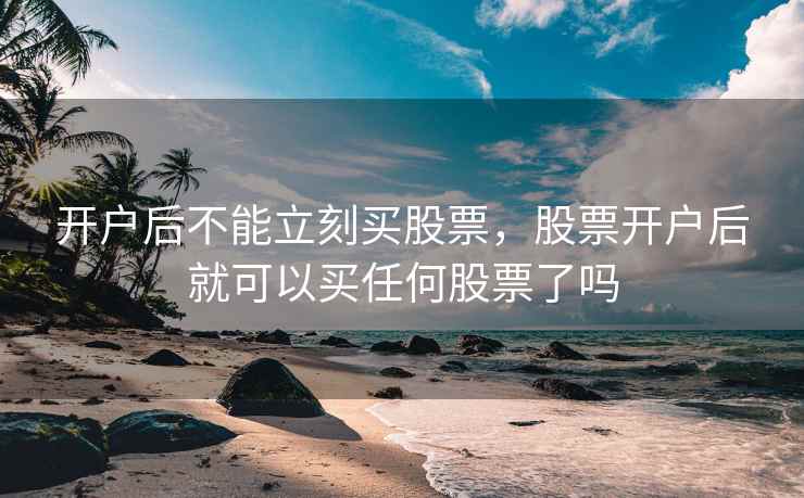 开户后不能立刻买股票，股票开户后就可以买任何股票了吗  第2张