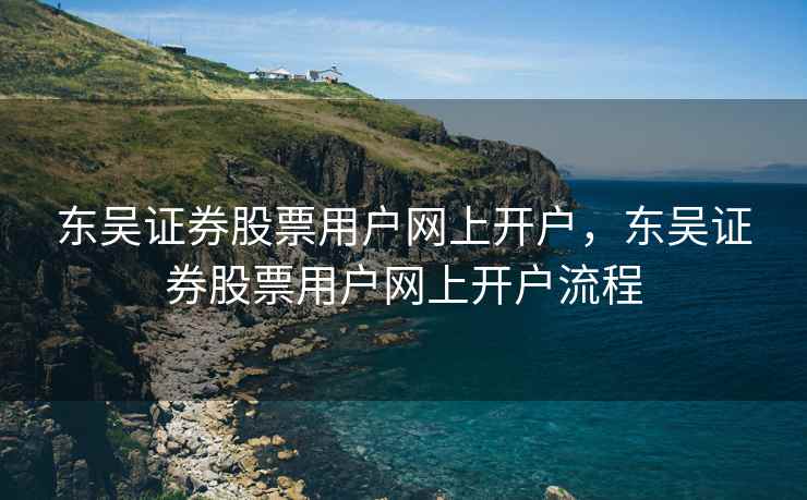东吴证券股票用户网上开户，东吴证券股票用户网上开户流程  第2张