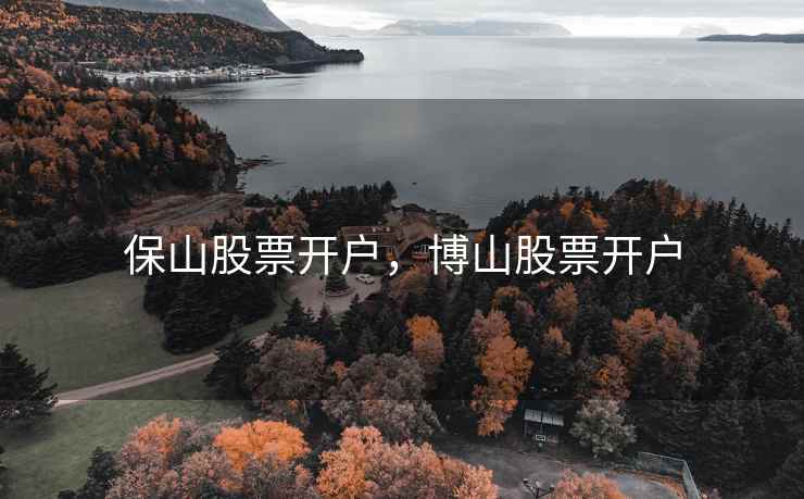保山股票开户,博山股票开户 第1张 保山股票开户,博山股票开户 第1张
