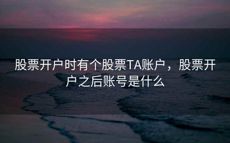 股票开户时有个股票TA账户,股票开户之后账号是什么 第1张 股票开户时有个股票TA账户,股票开户之后账号是什么 第1张