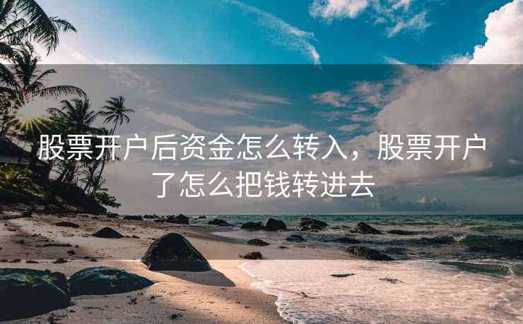 股票开户后资金怎么转入，股票开户了怎么把钱转进去  第2张