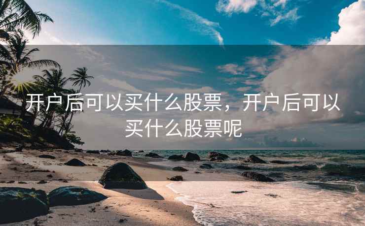 开户后可以买什么股票，开户后可以买什么股票呢  第2张