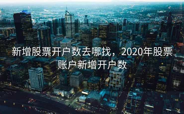 新增股票开户数去哪找，2020年股票账户新增开户数  第1张