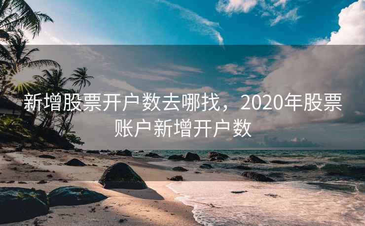 新增股票开户数去哪找，2020年股票账户新增开户数  第2张