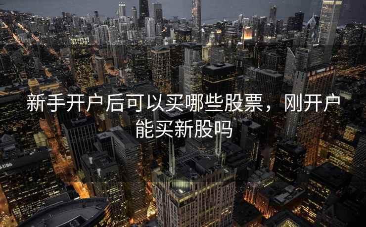 新手开户后可以买哪些股票，刚开户能买新股吗  第1张