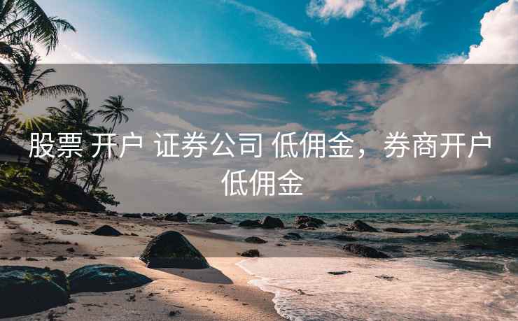 股票 开户 证券公司 低佣金，券商开户 低佣金  第1张