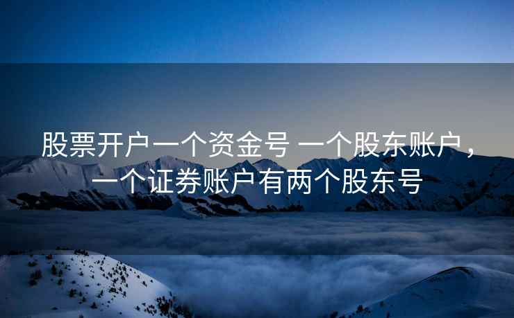 股票开户一个资金号 一个股东账户，一个证券账户有两个股东号  第2张