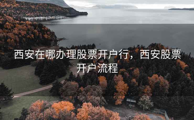 西安在哪办理股票开户行，西安股票开户流程  第2张