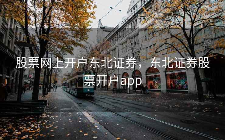 股票网上开户东北证券，东北证券股票开户app  第1张