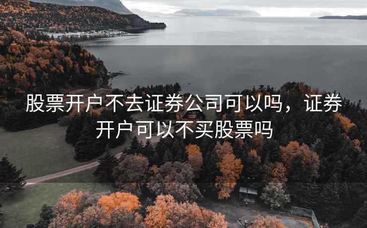 股票开户不去证券公司可以吗，证券开户可以不买股票吗  第1张