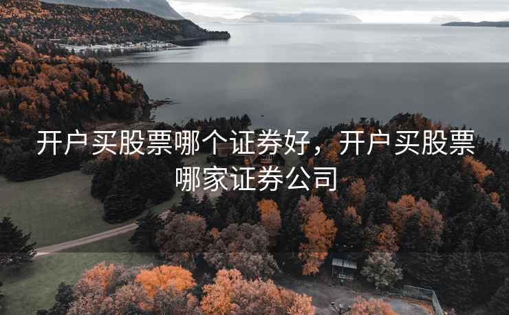 开户买股票哪个证券好，开户买股票哪家证券公司  第1张