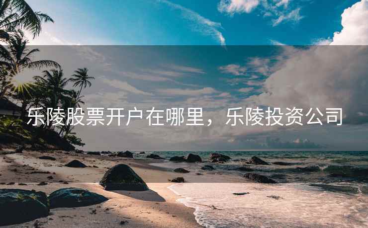 乐陵股票开户在哪里，乐陵投资公司  第1张
