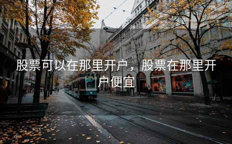 股票可以在那里开户，股票在那里开户便宜  第2张