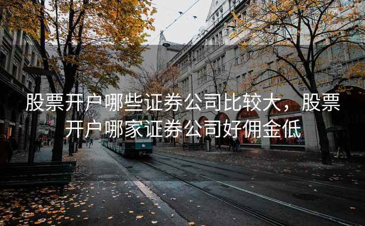 股票开户哪些证券公司比较大，股票开户哪家证券公司好佣金低  第1张