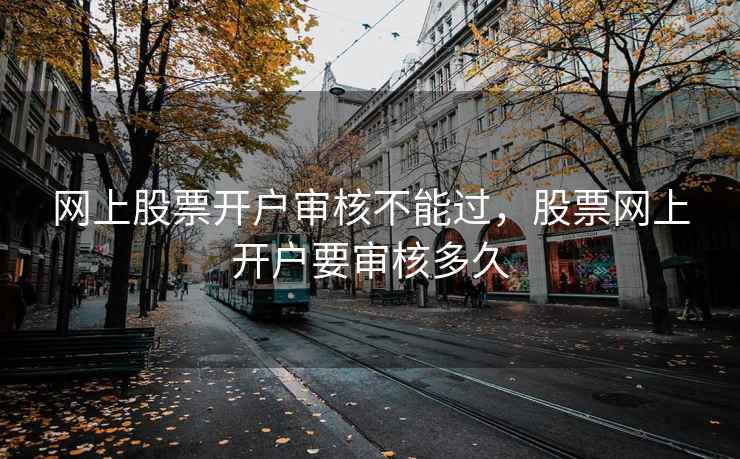 网上股票开户审核不能过，股票网上开户要审核多久  第2张